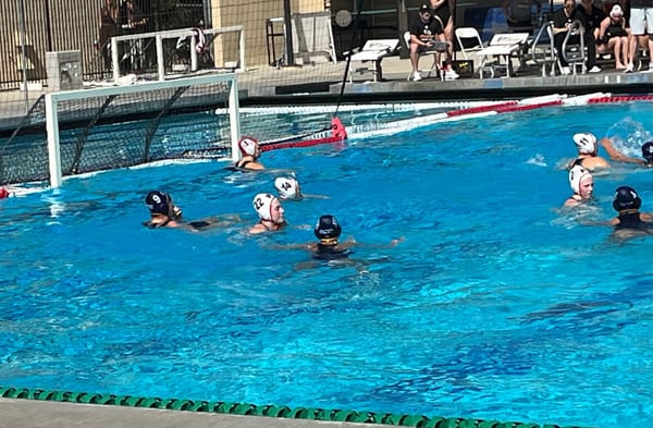 Everything I Know About Water Polo (Not Much) - Post No. 3